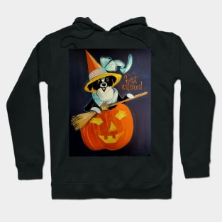 Best Witches Hoodie